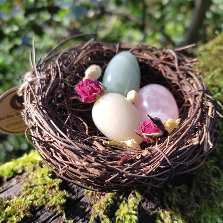 O nid de Sirona por atacado de Jardin des Druides