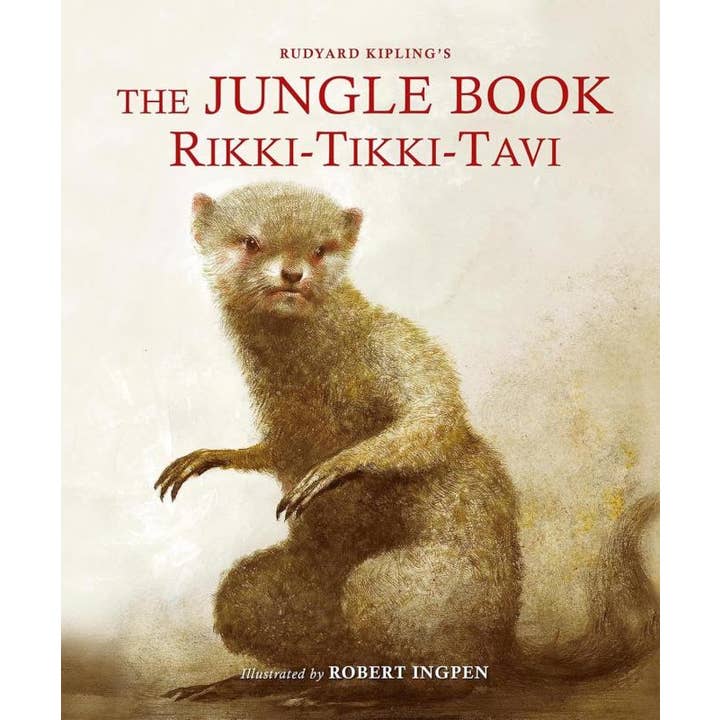 Microcosm Publishing & Distribution - Wholesale Early Reader Book (6-8) - The Jungle Book: Rikki-Tikki-Tavi: A Robert Ingpen