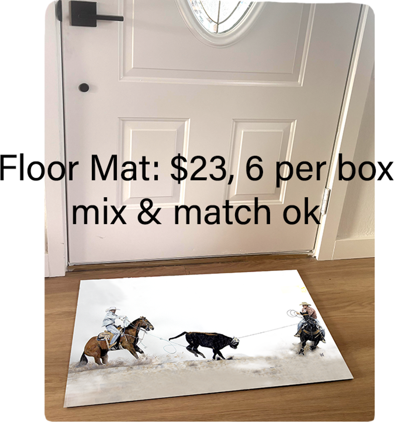 DOLLY ESTELLE - Wholesale Door Mat - Welcome Floor Mat 18x30 - Mix & Match  1