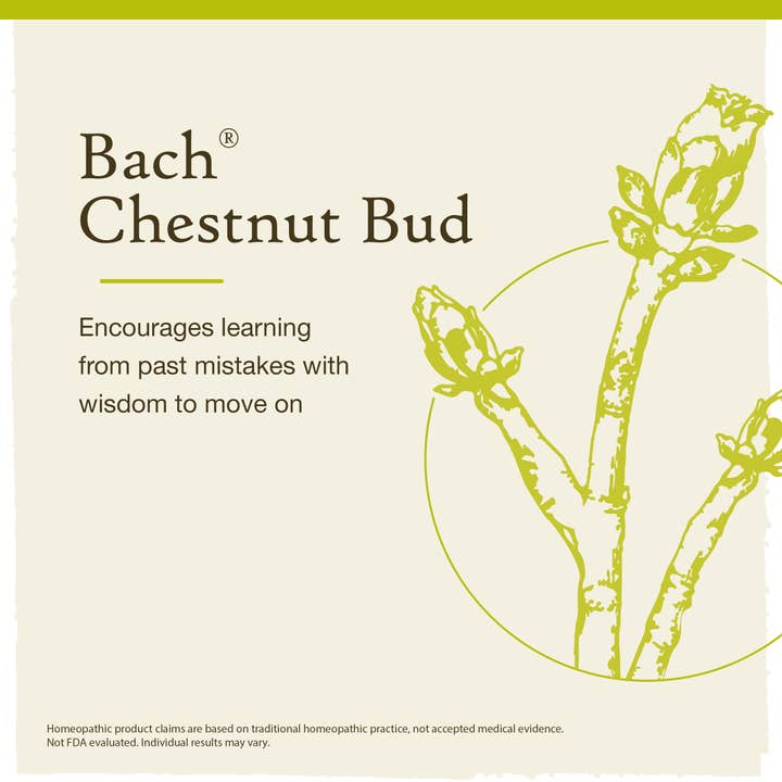RESCUE & Bach Original Flower Remedies - Wholesale Oral Supplement/Vitamin - Bach Flower Remedies Chestnut Bud Oral Supplement