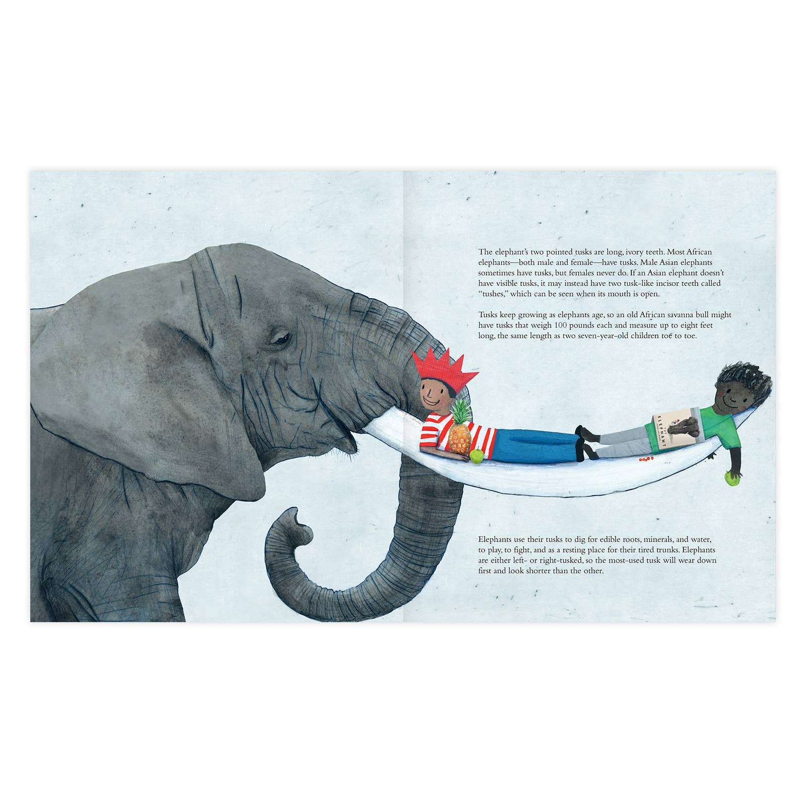 Enchanted Lion Books - Wholesale Nature & Outdoors - The Elephant3