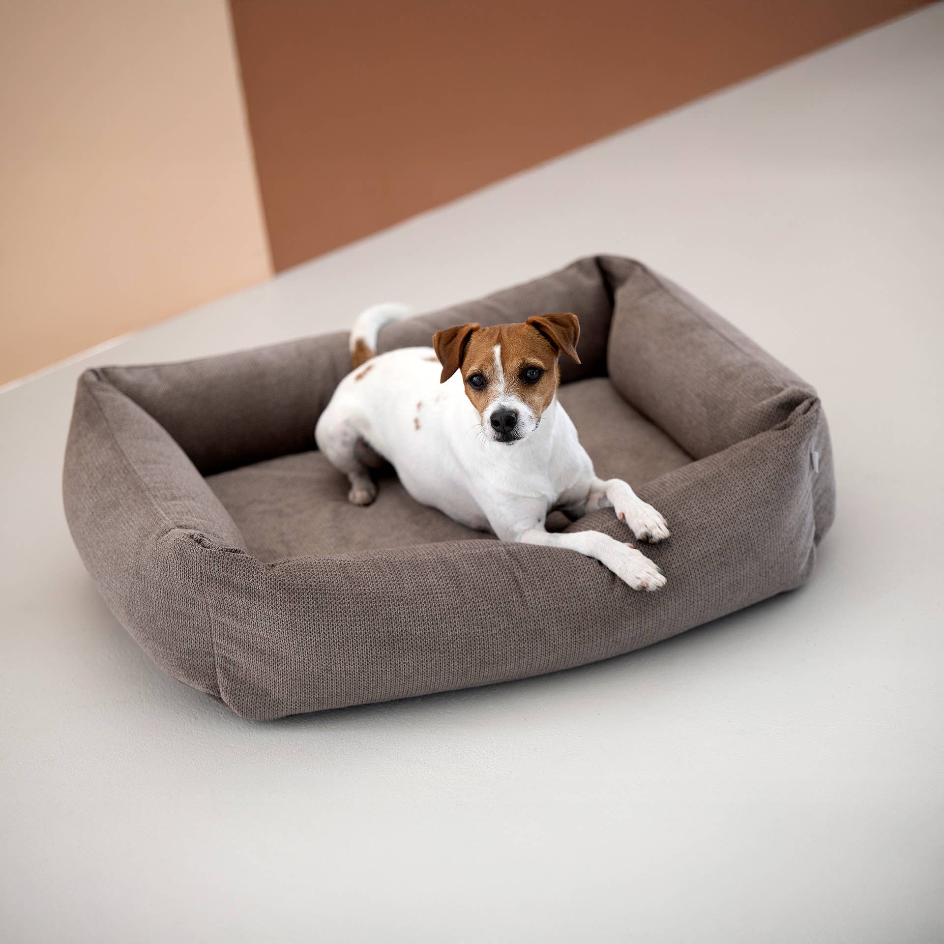 LABONI - Volentis GmbH – wholesale Husdjursbädd – Hund – ORTHO SÄLLSKAPSDJUR SÄNG TUDOR31