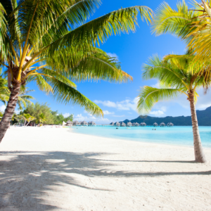 Antwerp Luxury candle supplies - Vendita all'ingrosso Olio profumato - Olio profumato Bora Bora2