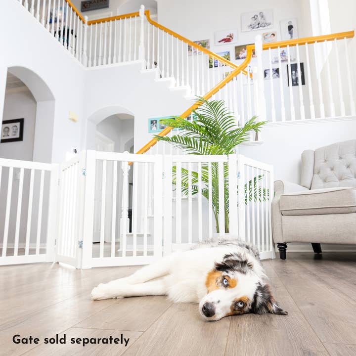 Primetime Petz - Wholesale Pet Folding Gate - Dog - 360 Extension Kit for Pet Gate8