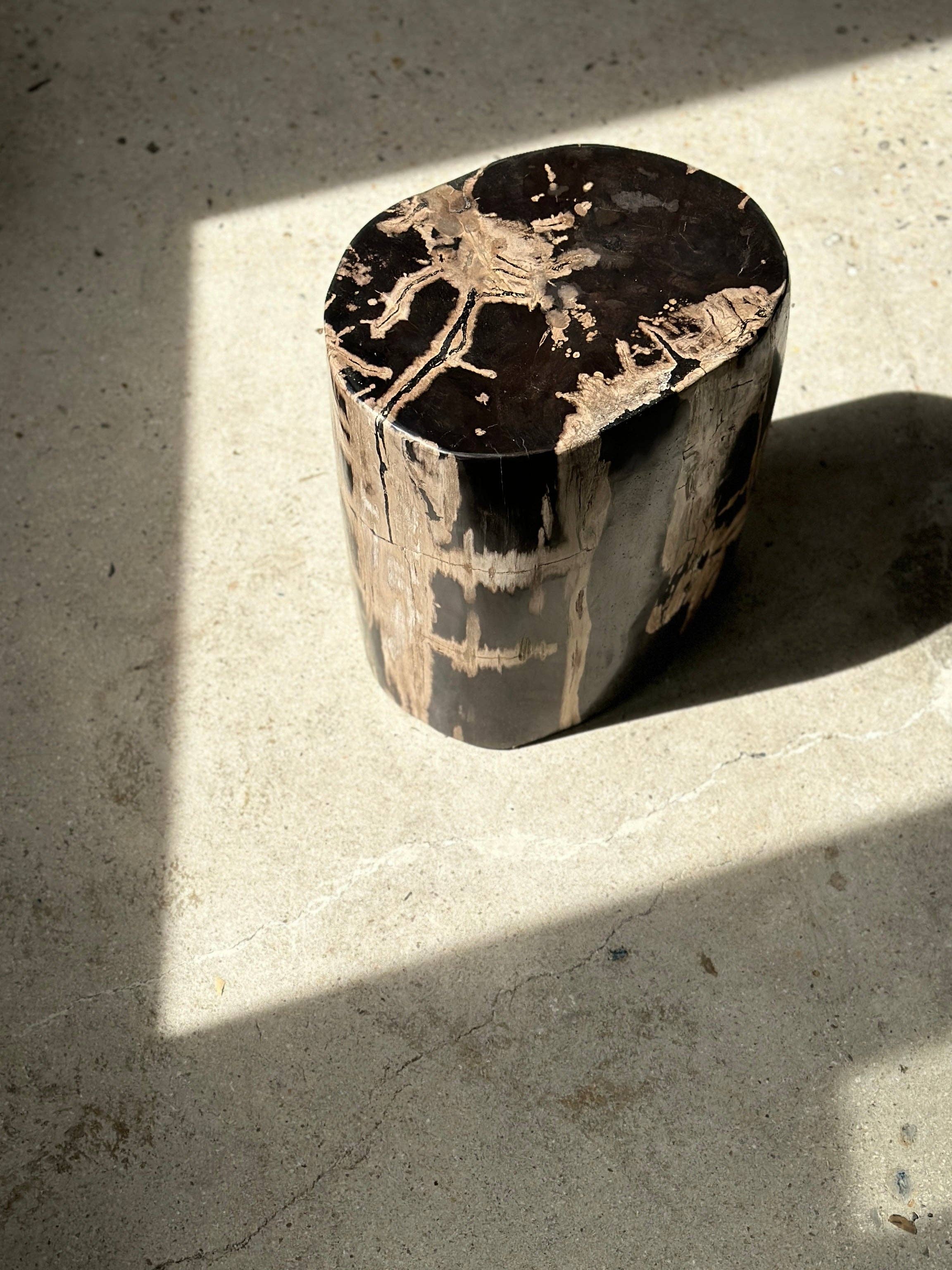 Office Objets - Vente Tables d'appoint - Table d'appoint en bois pétrifié42