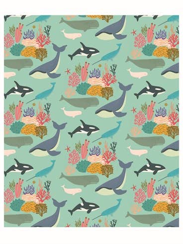 Emballage cadeau W49 Whales pour la vente par Earlybird Designs