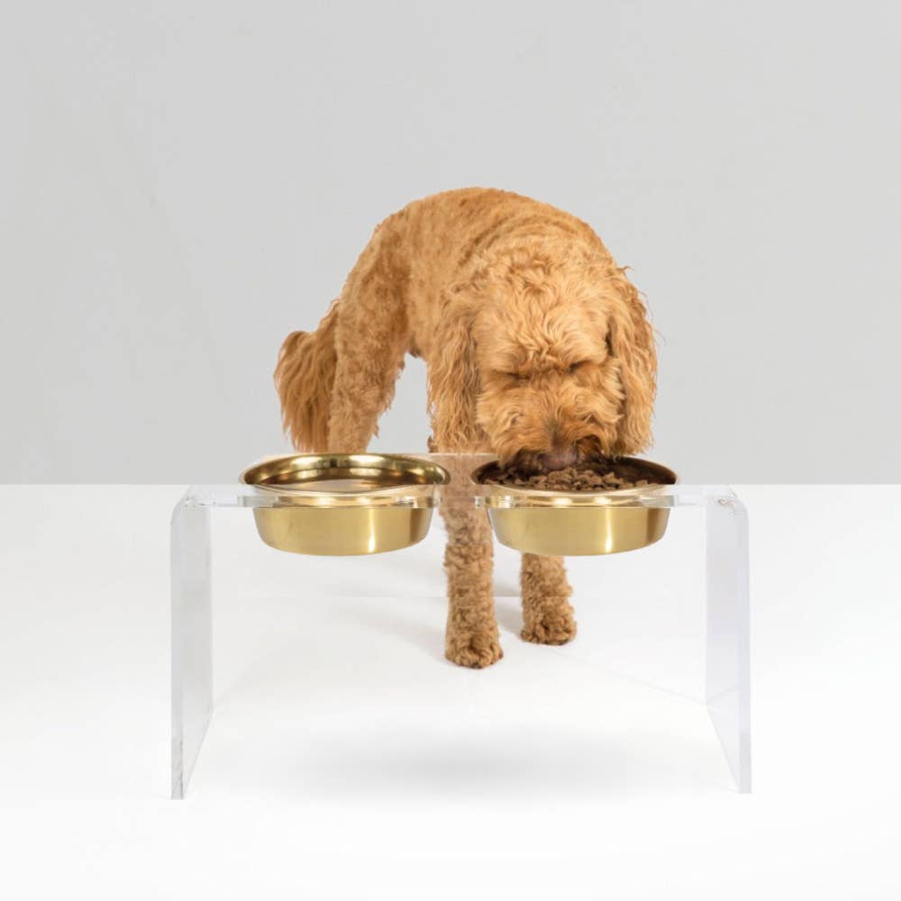 Hiddin - Vente Gamelle – chat et chien - Grand Mangeoire Doré