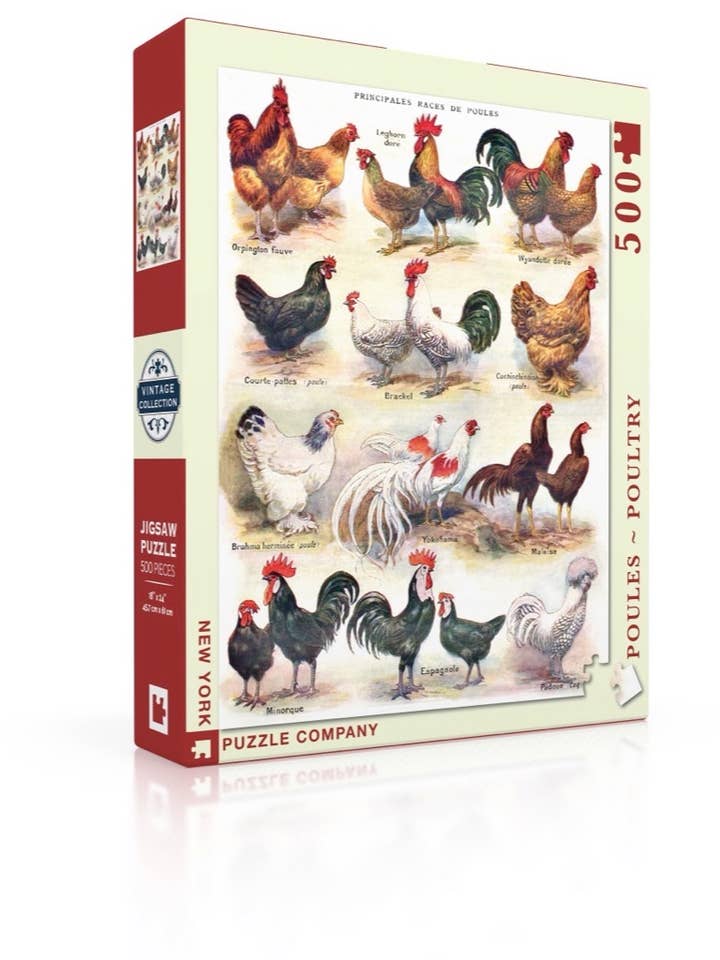 Poules ~ Poultry - 500 Piece Jigsaw Puzzle for wholesale by New York Puzzle Company