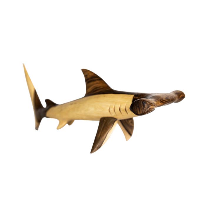 Bravo Handcraft - Wholesale Sculpture - Hand-Carved Wooden Hammerhead Shark Sculpture1