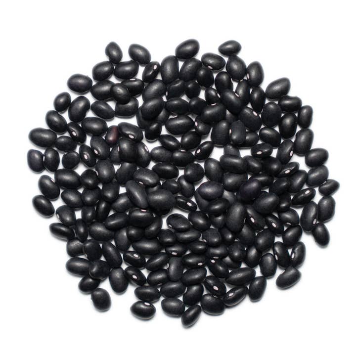 1000 Springs Mill - Venta al por mayor Alubias - Frijoles negros orgánicos de 25 libras