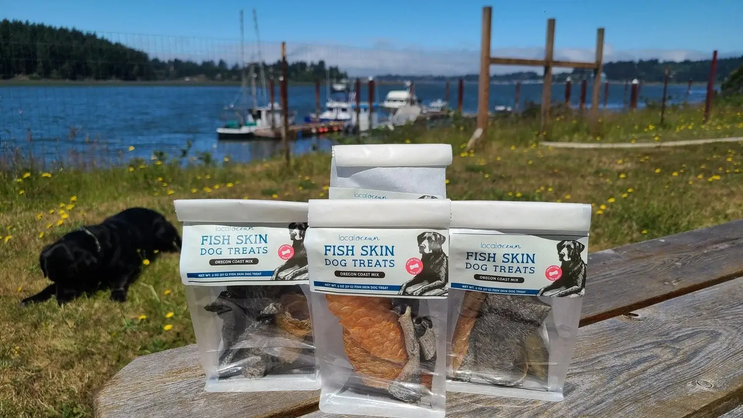 Local Ocean Seafoods - Wholesale Pet Treats - Dog - Dog Treats: "Catch of the Day" Oregon Coast Wild Fish2