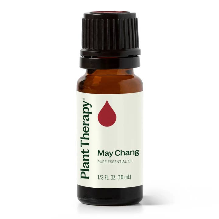Olio essenziale di May Chang 10 mL per la vendita all'ingrosso da parte di Plant Therapy