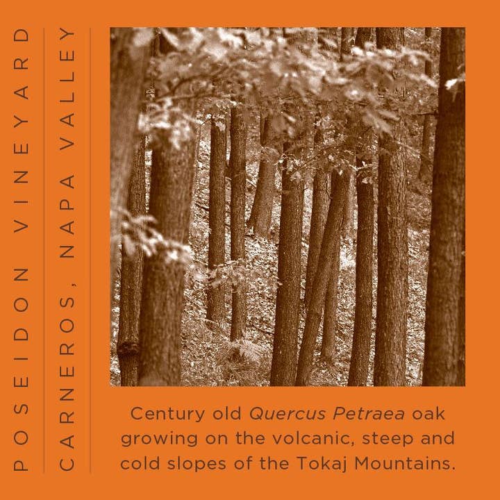 Obsidian Poseidon Vineyard Pinot Noir 2020 for wholesale by COAST by ALLY Wines