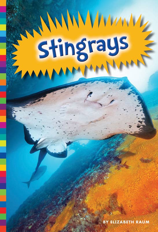 Amicus Publishing – wholesale Nature & Outdoors – Stingrays1