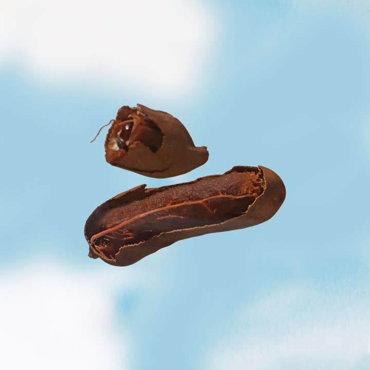 Rebundle - Wholesale Hair Styling Gel/Mousse - cloud9 Braid Setting Mousse3