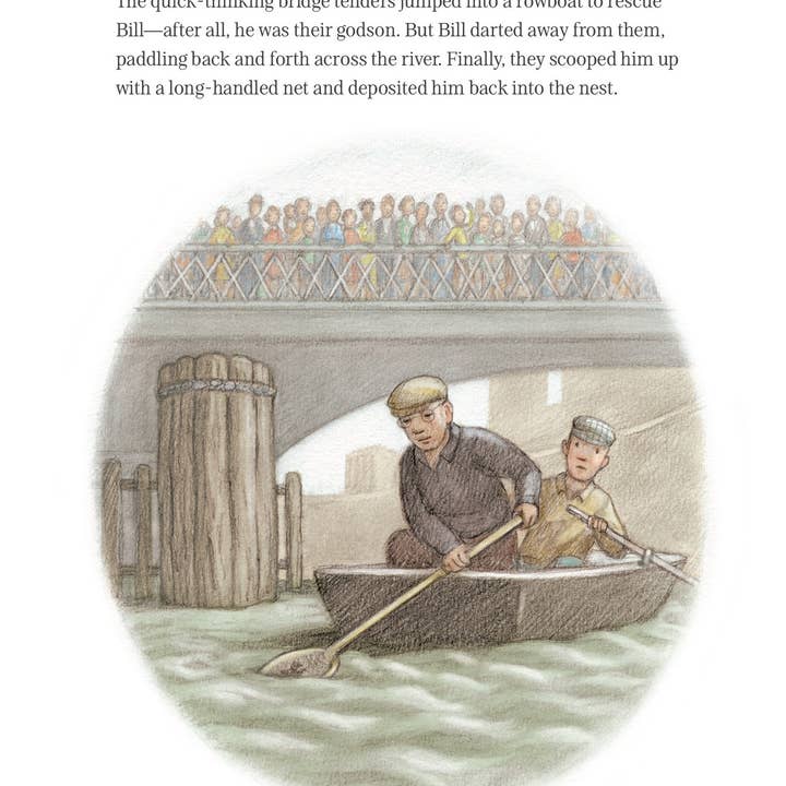 Sleeping Bear Press - Wholesale Book - Kids - Gertie, The Darling Duck of World War II Picture Book5