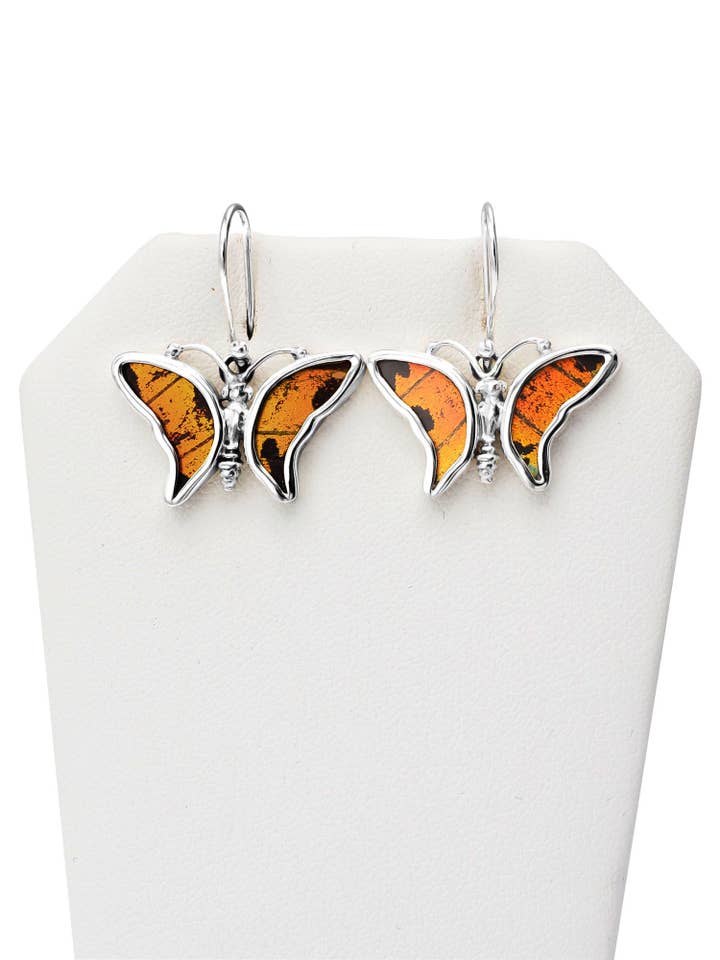 Charrie - Orecchini a forma di farfalla, da donna per la vendita all'ingrosso da parte di Quan Jewelry