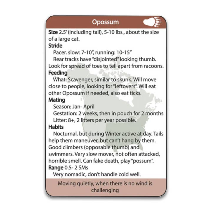 BattlBox - Wholesale Learning Cards - Kids & Baby - Animal Tracking Flashcards Kids Fun Activity Silva Tracking