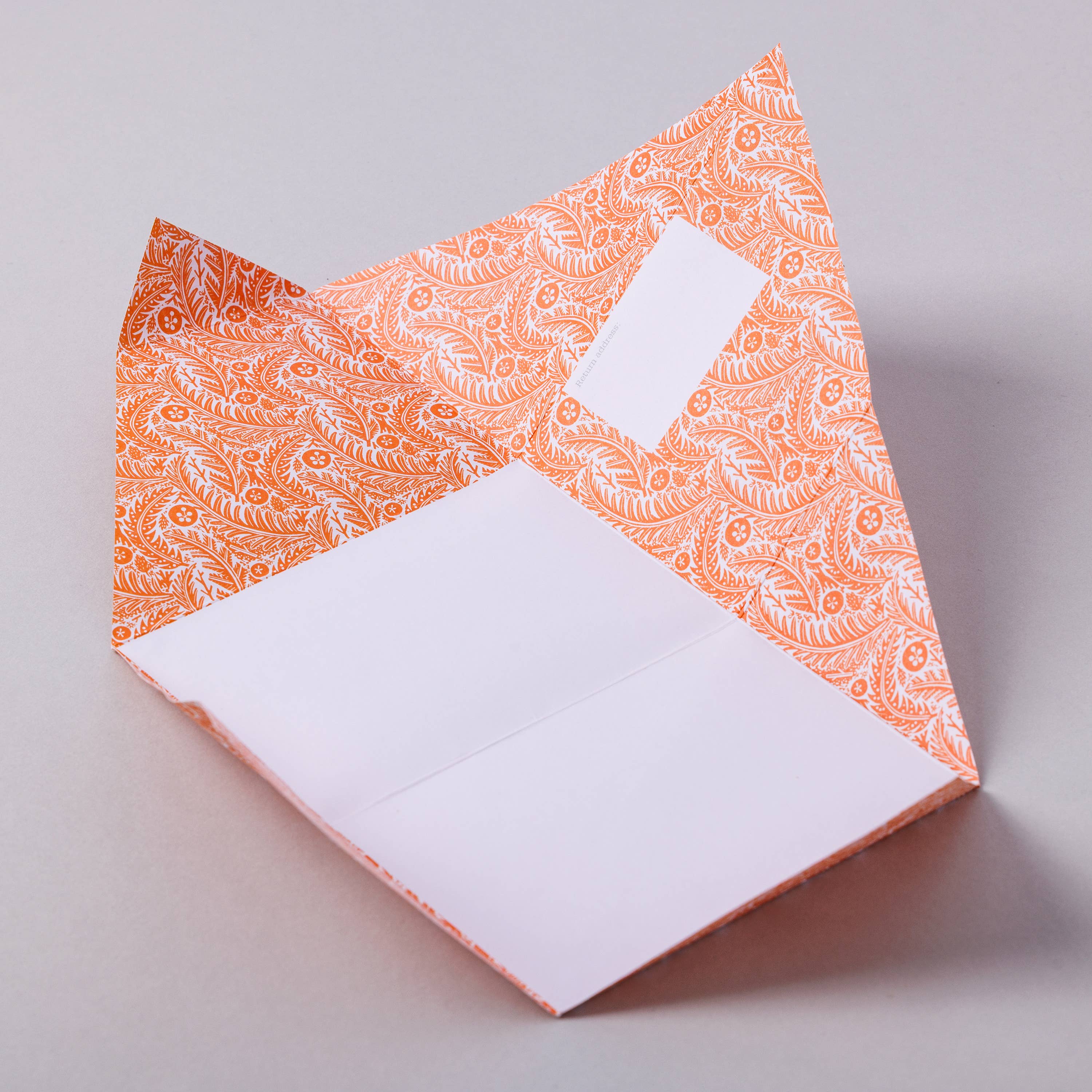 pigeonposted - Venta al por mayor Conjunto de papelería y tarjetas - Estudio de la Naturaleza Paloma, Juego de Cartas Plegables – Paquete de 6 Cartas2