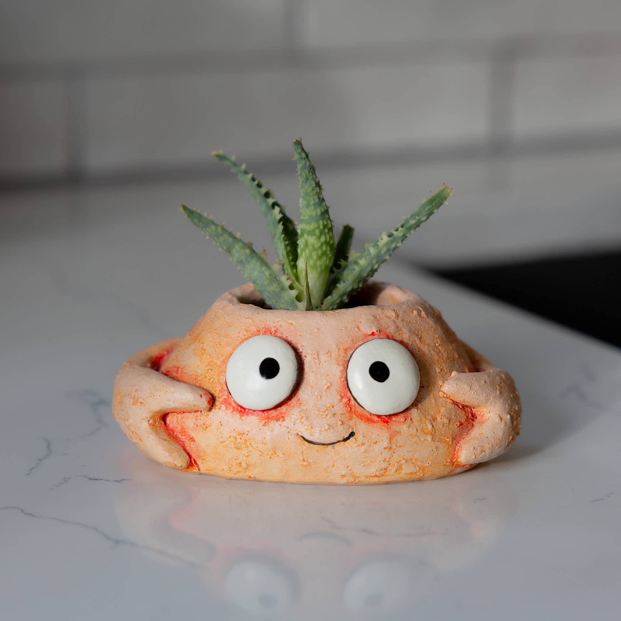 Cohasset Gifts - Wholesale Plant Pot - Pinch the Crab Blobhouse Planter1