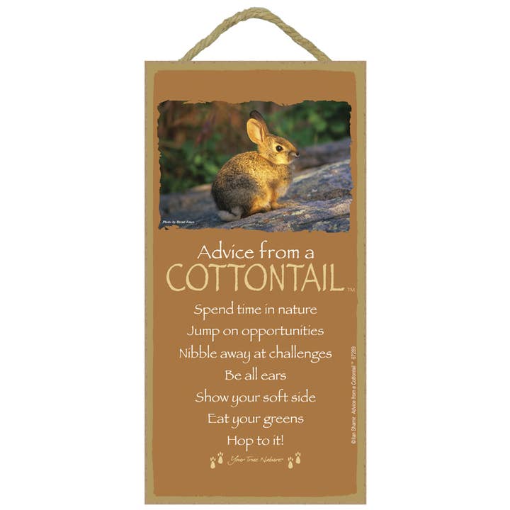 Cottontail / Advice from - 5" X 10" Wood Plaque, Sign for wholesale by SJT Enterprises, Inc.