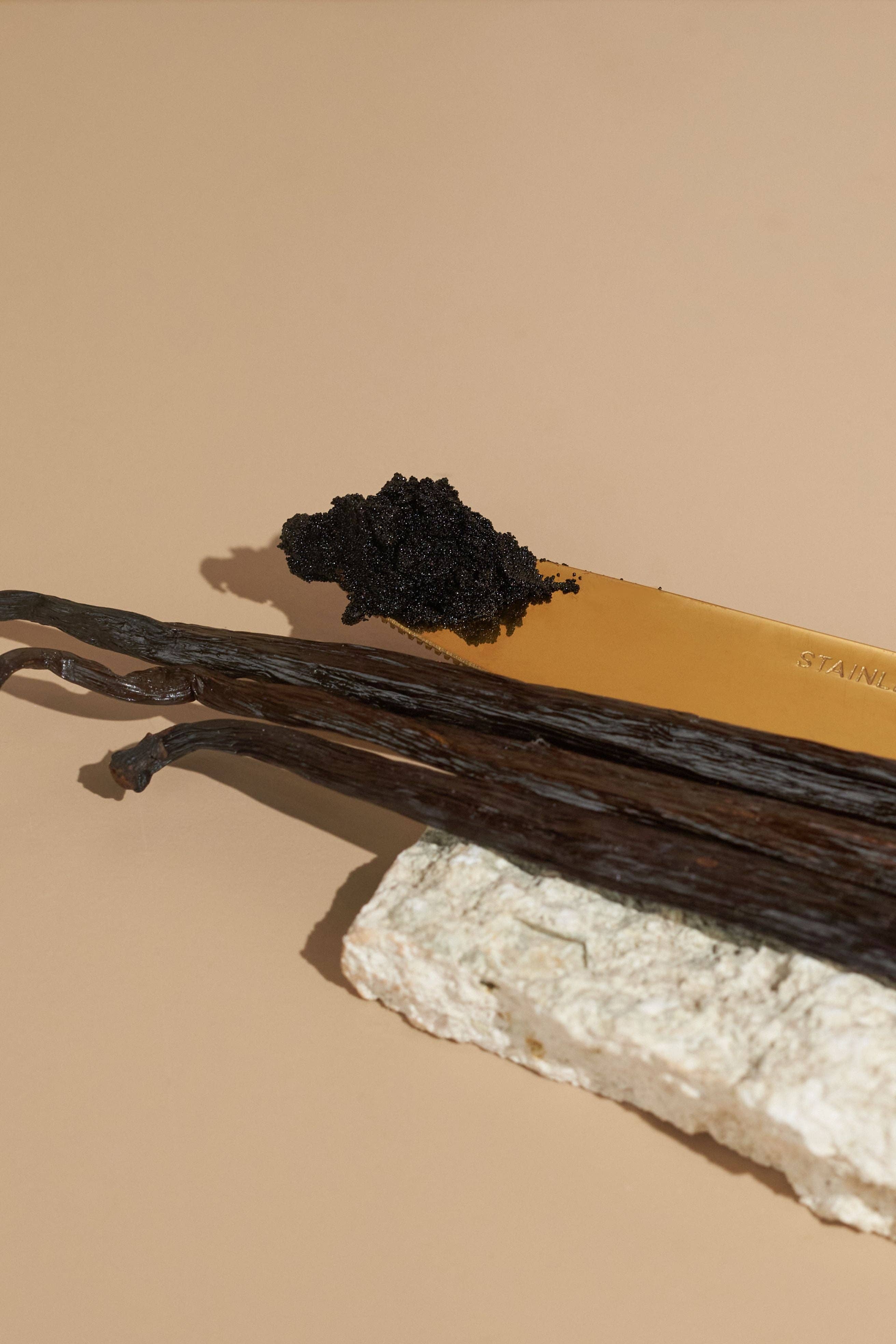 VANIL A BEAN – wholesale Vanilla/fruit extract – Natural Vanilla Caviar Seeds5