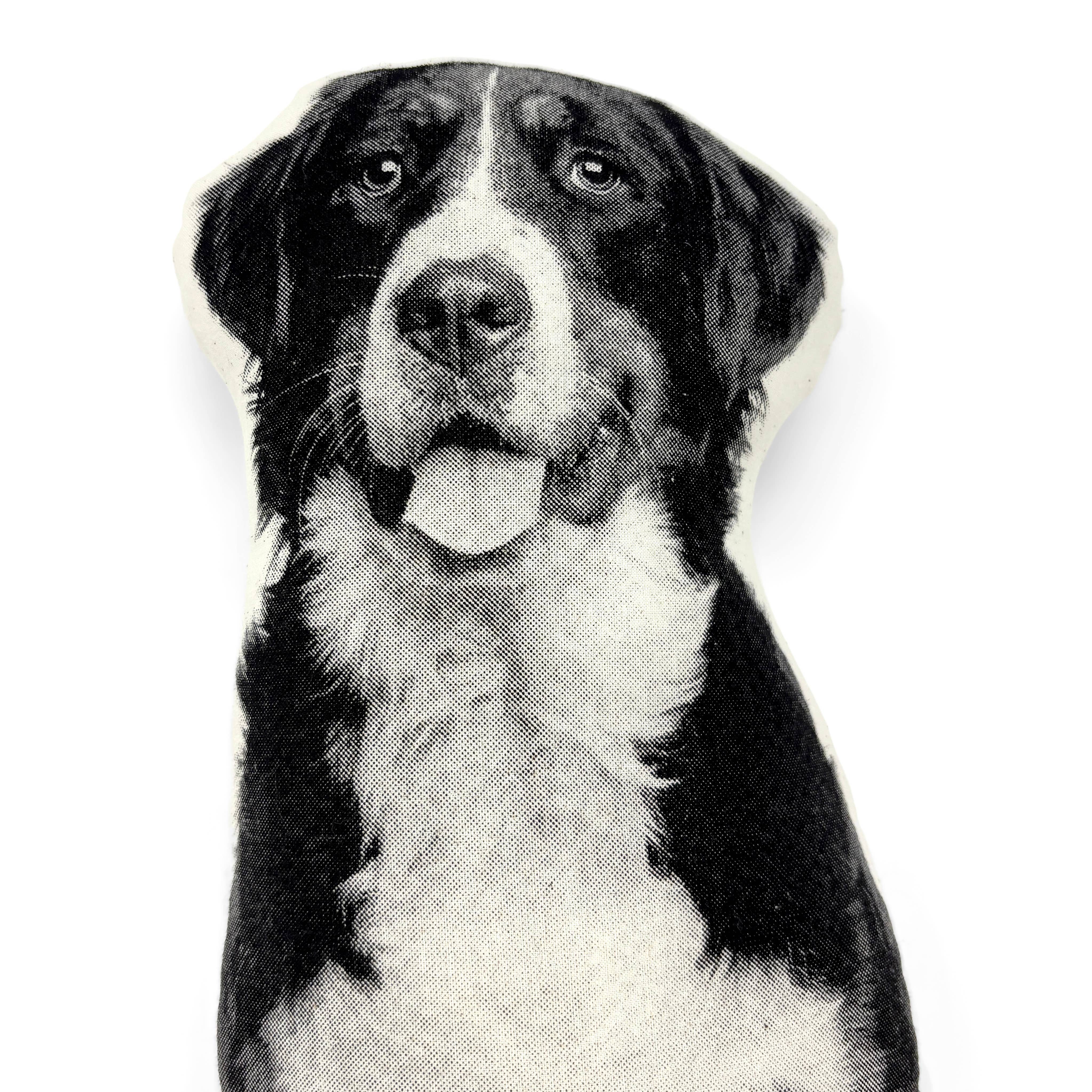 Broderpress - Wholesale Throw/Decorative Pillow - Bernese Mountain Dog Pillow2