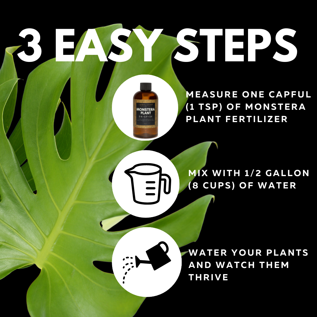 Lush Leaf - Wholesale Fertilizer - Monstera Plant Food6