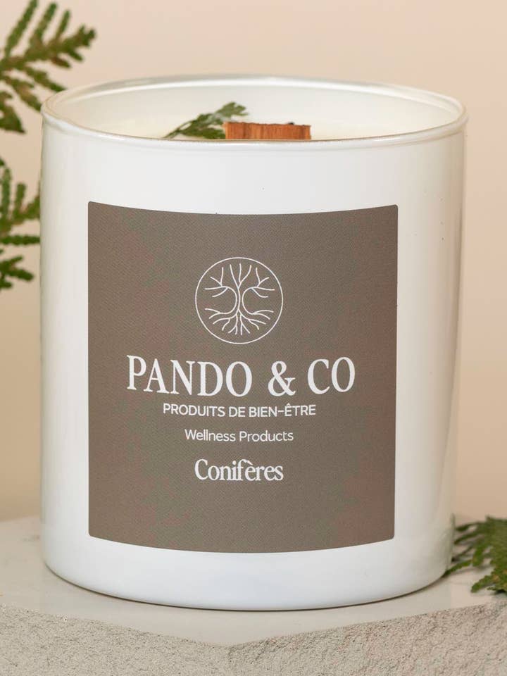 Candle - Conifers for wholesale by Pando&Co