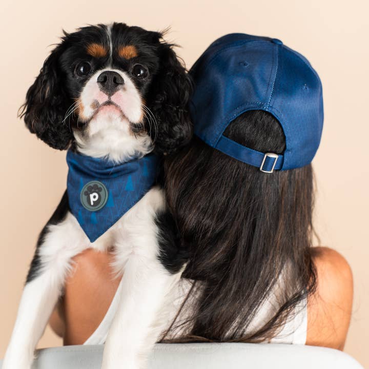 Pawsbury Lane - Wholesale Pet Bandana - Dog - Matching Pet and Owner: Baseball Cap + Pet Bandana - Blue