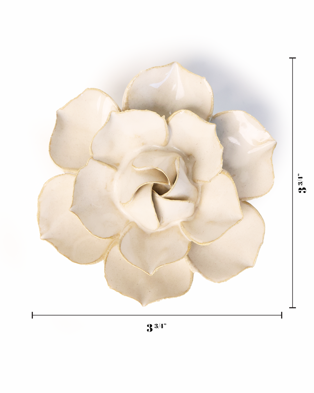 Chive Canada - Vente Fleurs artificielles - Jonquille Ivoire Jardin Anglais2