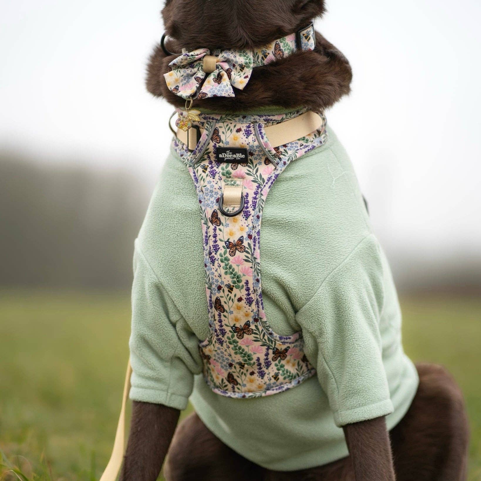 The aDoraBle Pooch Company – Arnês – Cão por atacado – Arnês Hike & Go Lite™ - Bumbles & Butterflies6