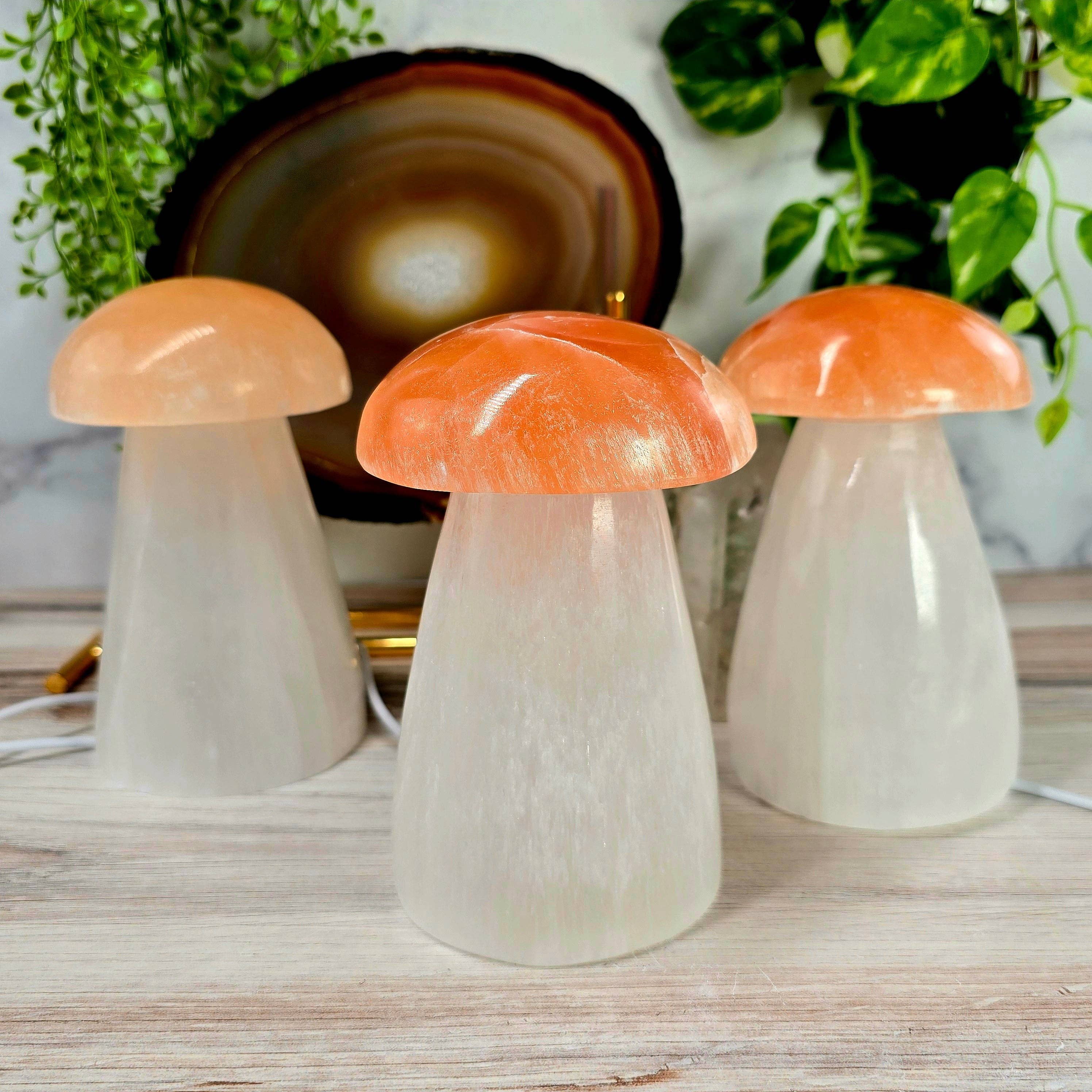 Rock Paradise - Wholesale Accent/Desk Lamp - Selenite Crystal Mushroom Lamp1