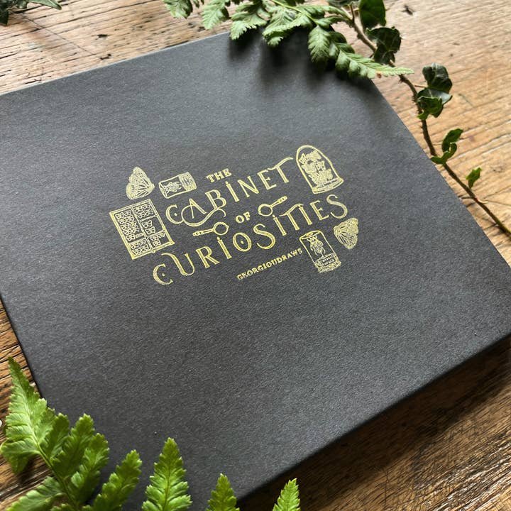 Georgiou Draws - Wholesale Lapel Pin/Button - Cabinet of Curiosities Entomology Luxury Enamel Pin Box Set