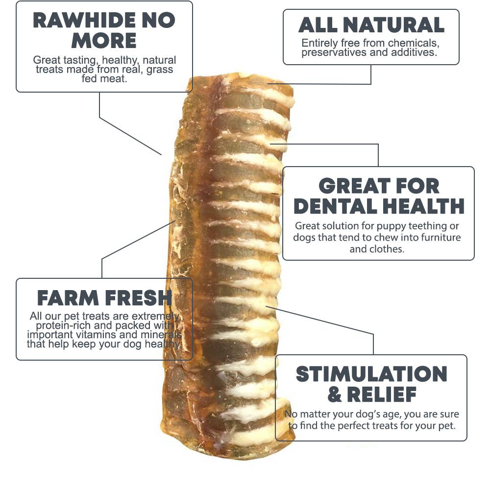 Hotspot Pets - Vente Friandises – chien - Gâteries pour chiens Split All Natural Boeuf Trachée de 6", 12,24 & 50 CNT2