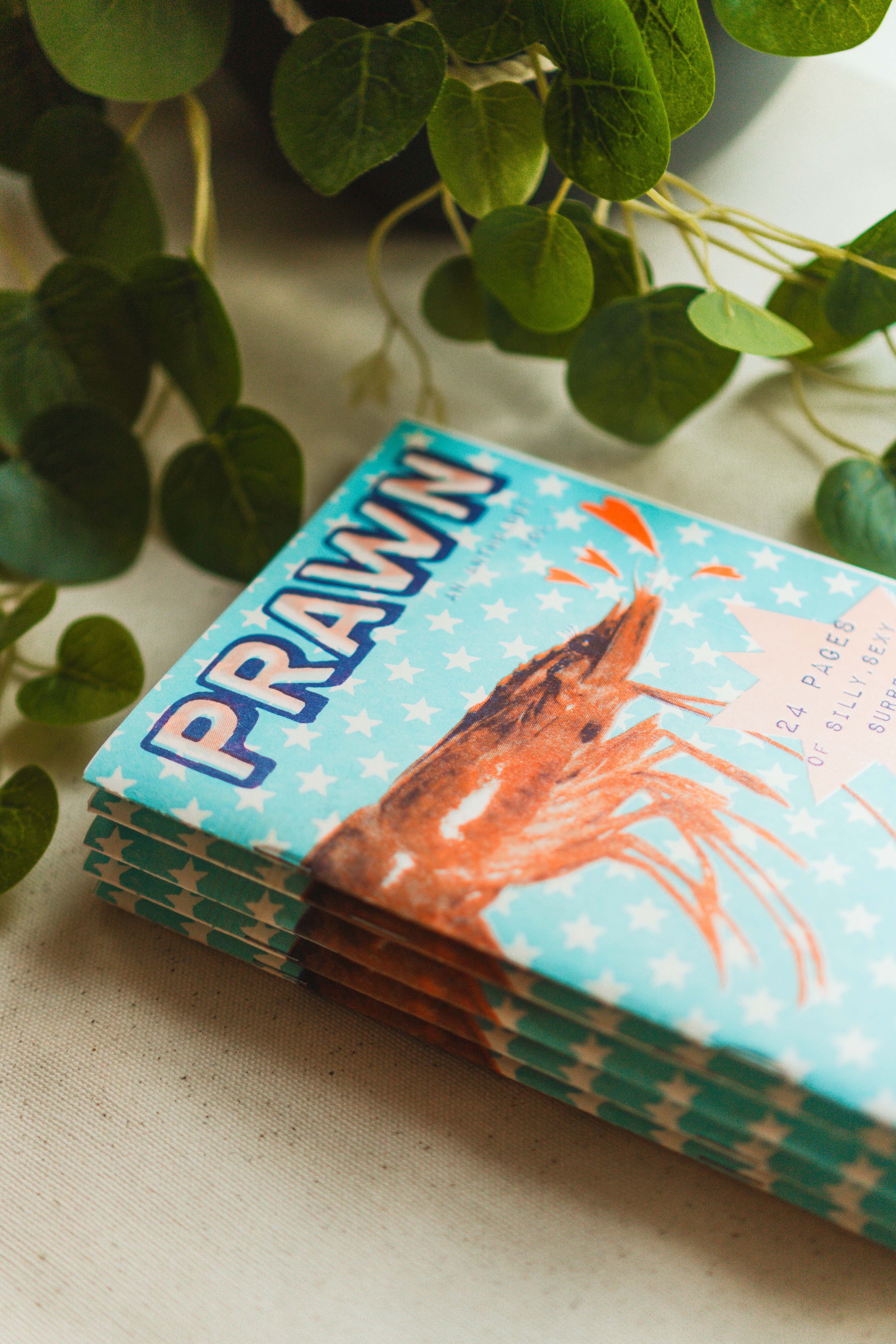 Tamiko Sidore Studio - Wholesale Reference Book - PRAWNOGRAPHY Risograph Zine1