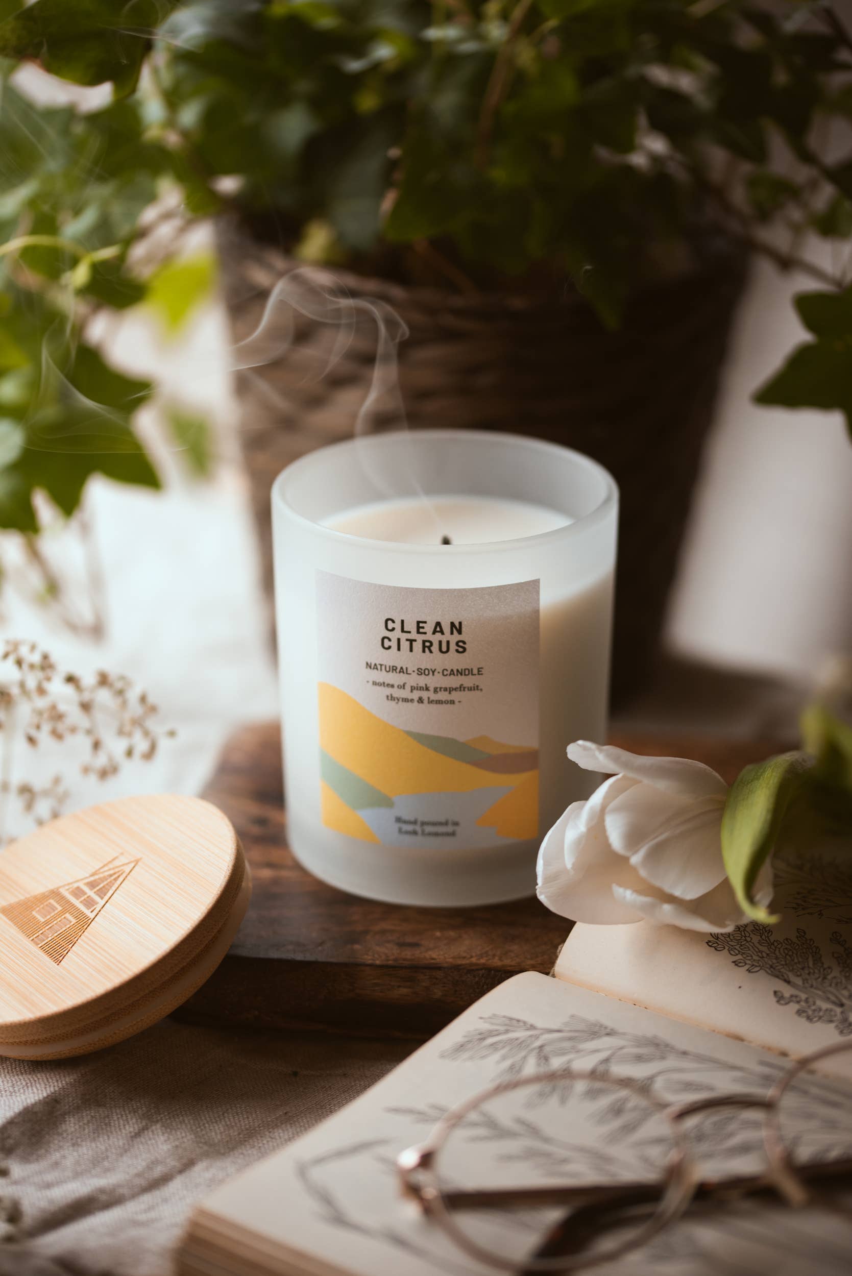 Ocoee House – wholesale Jar/filled candle – Clean Citrus, Organic & Vegan Scented Candle | Ocoee House8