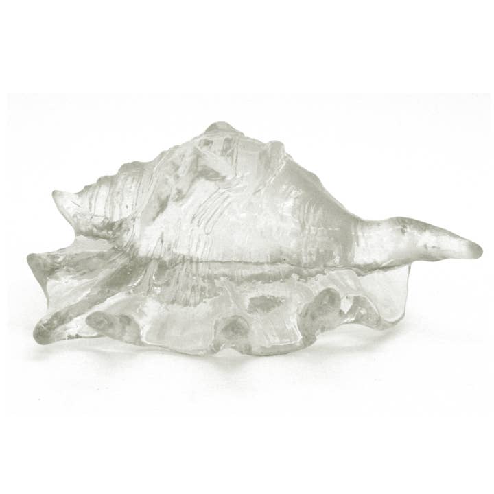 Clear Lambis Shell for wholesale by Modern Coastal by Contrast Inc.