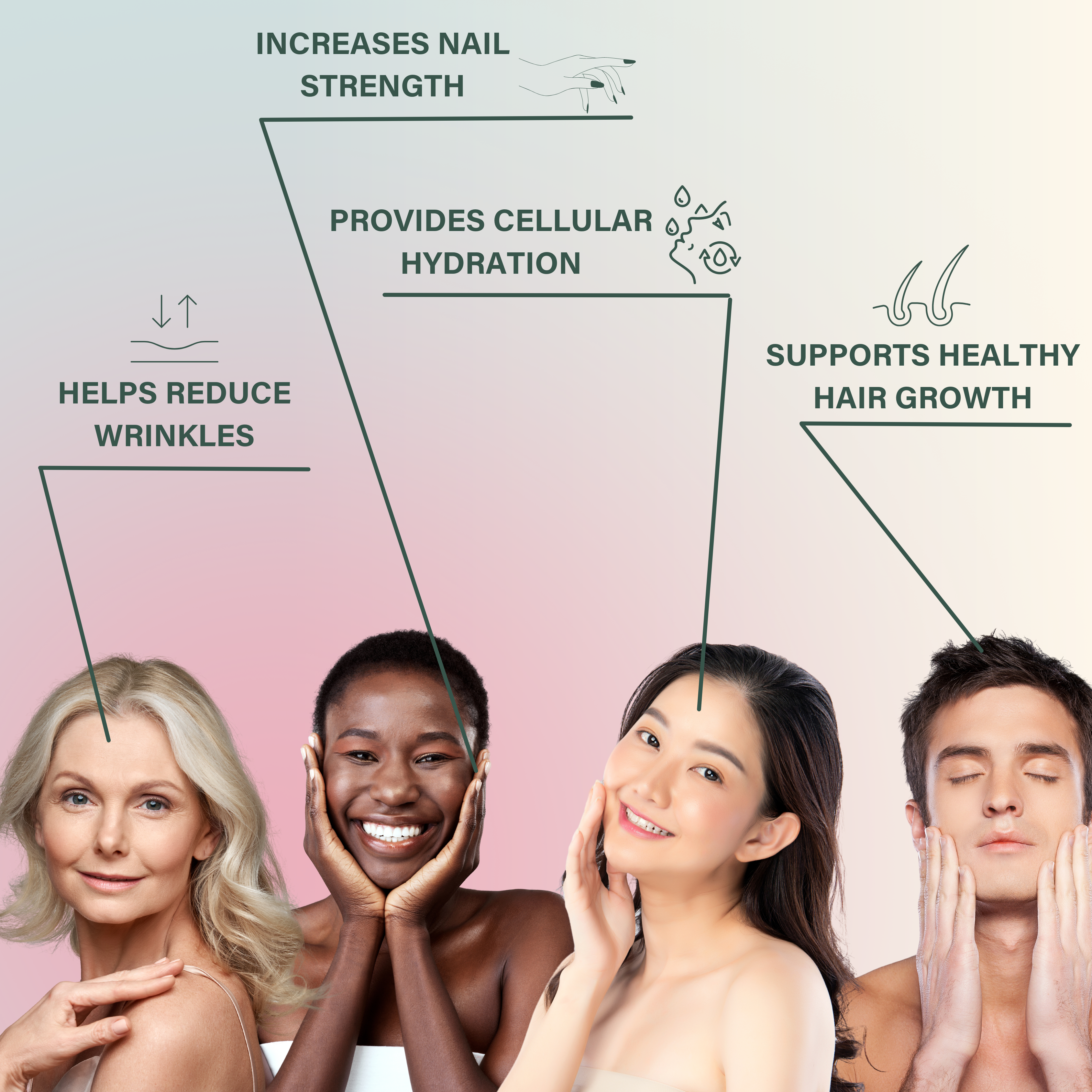 Nutri Beauties – wholesale Protein/superfood powder – 18x NUTRI BEAUTIES Pure Bovine Collagen Powder 10,000Mg10