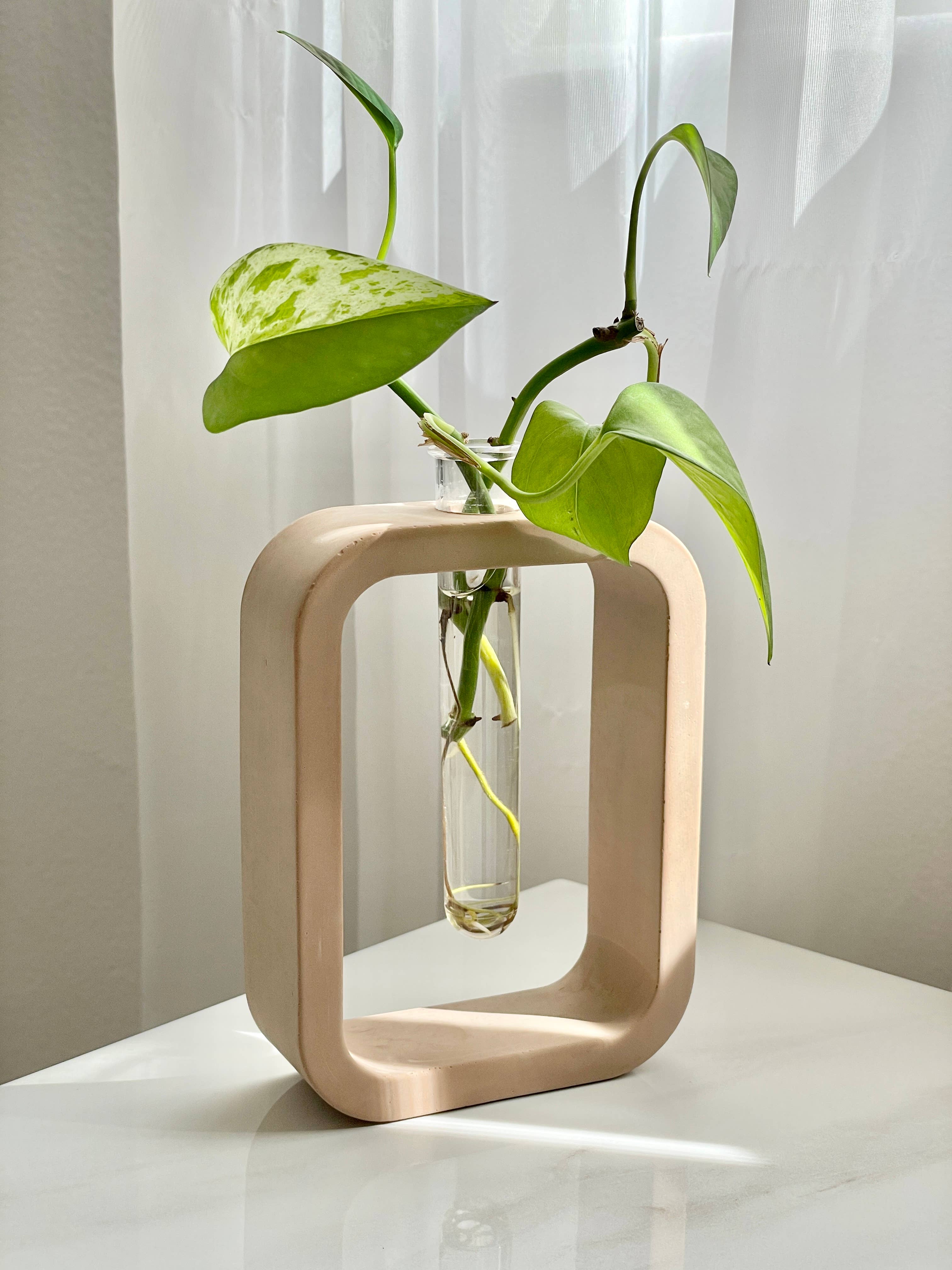 Need it Right MEOW – Großhandel Vasen – Betonständer mit Glas-Propagationsröhrchen und Vase [bunt]6