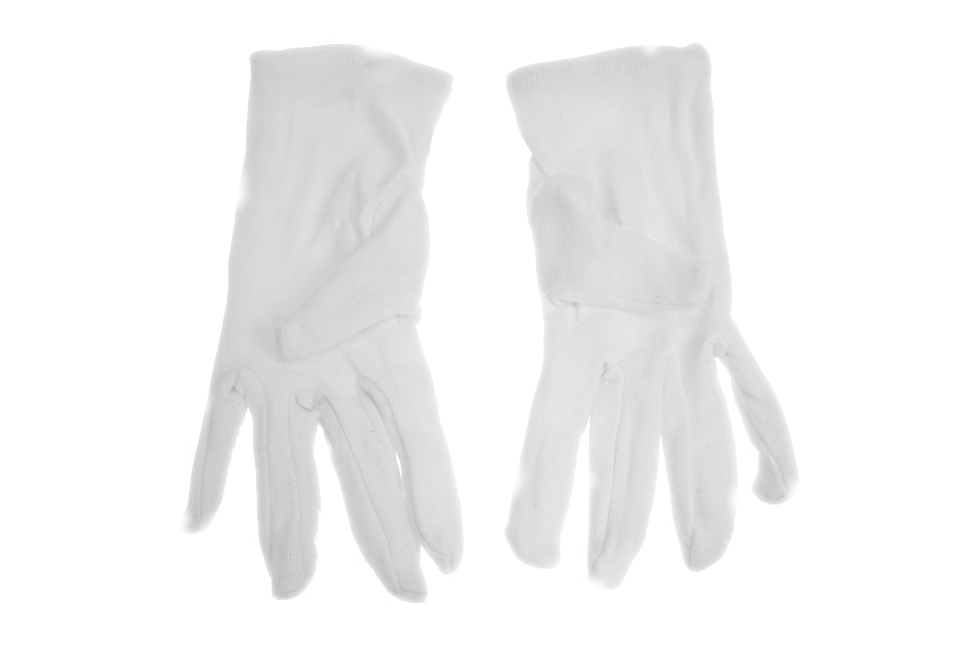 Fantasia R. Espig KG - Wholesale Gloves - Women's - white cotton gloves (pair) size L (9)1