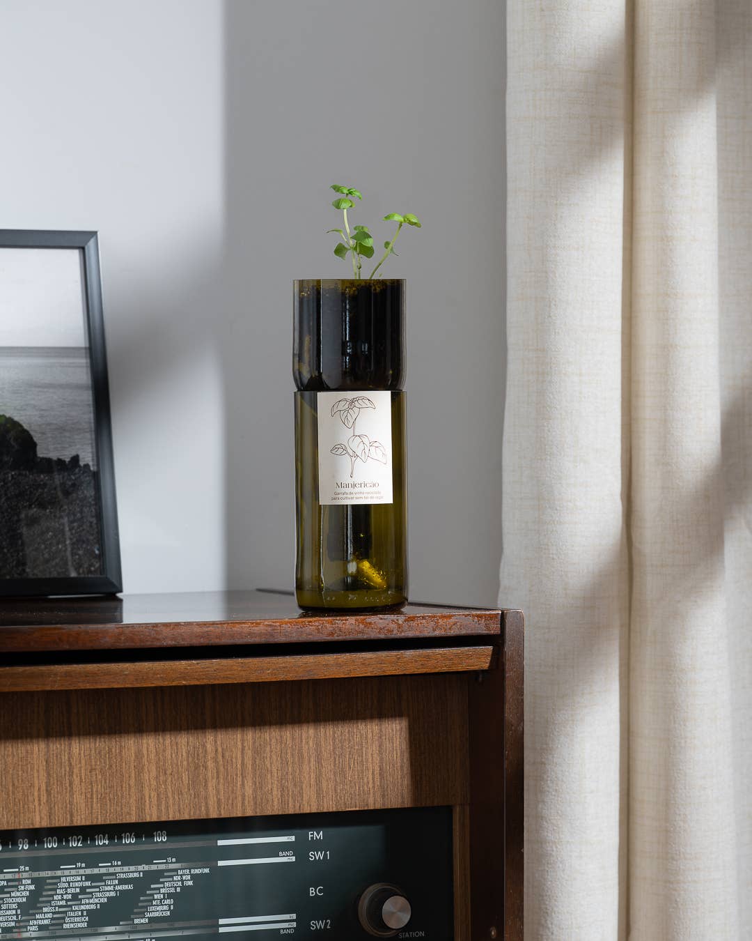 Life in a bag - Wholesale Plant Seeds - Grow Bottle Basil1