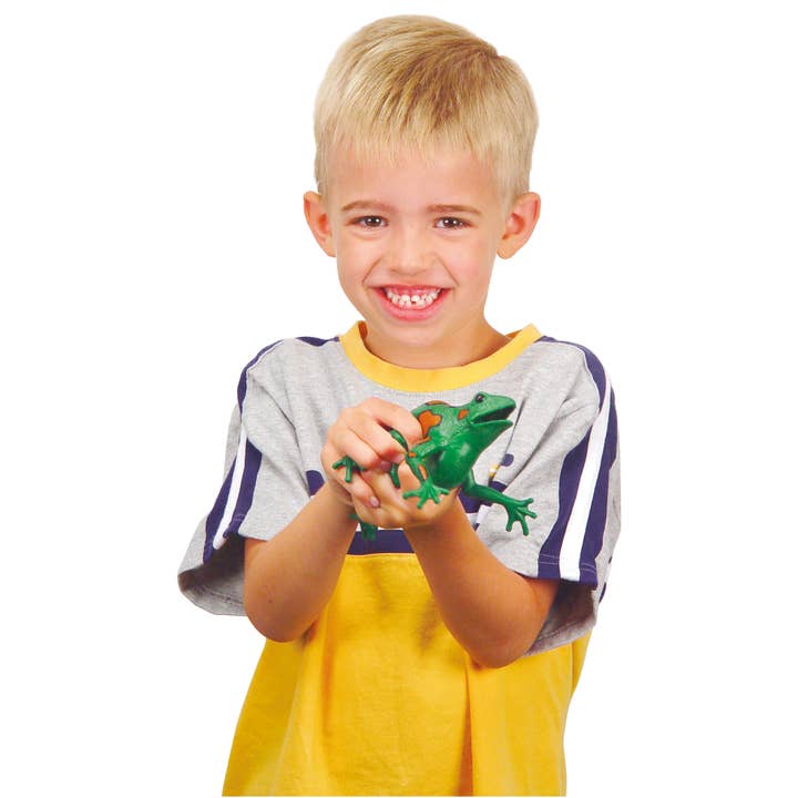 Toysmith - Wholesale Squishy Toy - Kids & Baby - Frog Squishimals Squishy Toys