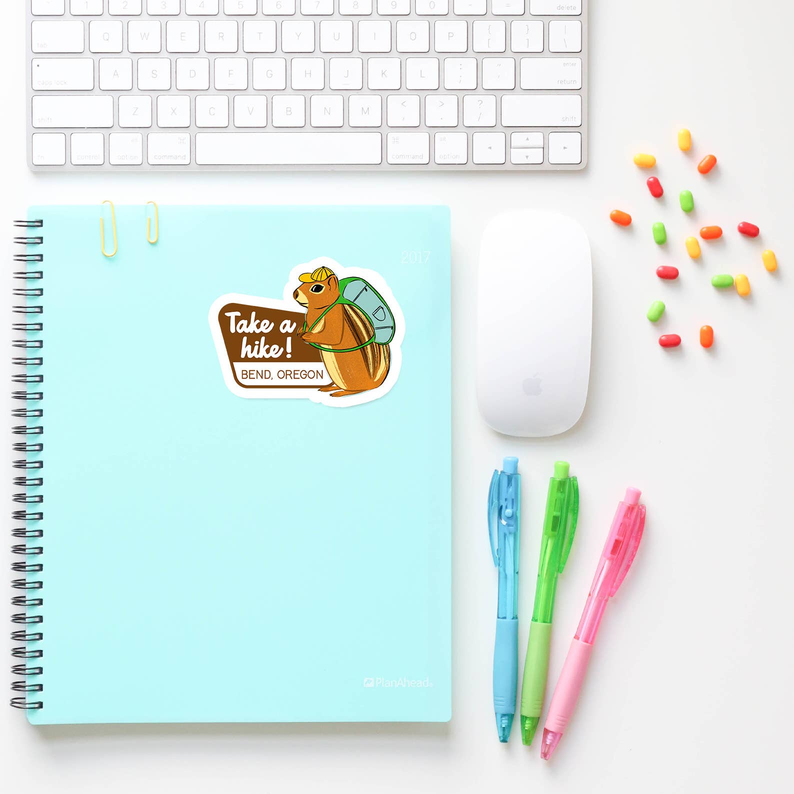 Natalie V. Mason - Wholesale Sticker - Sticker - Chipmunk ("Take a Hike!" w/ customizable town)2