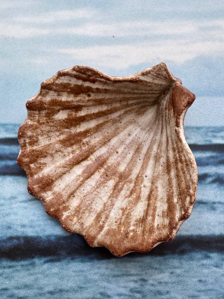 Keramische schelpschaal met schelpjes - handgemaakt van steengoedklei voor wholesale door IRH.STUDIO