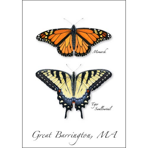 Monarch & Swallowtail for wholesale by Earth Sky + Water