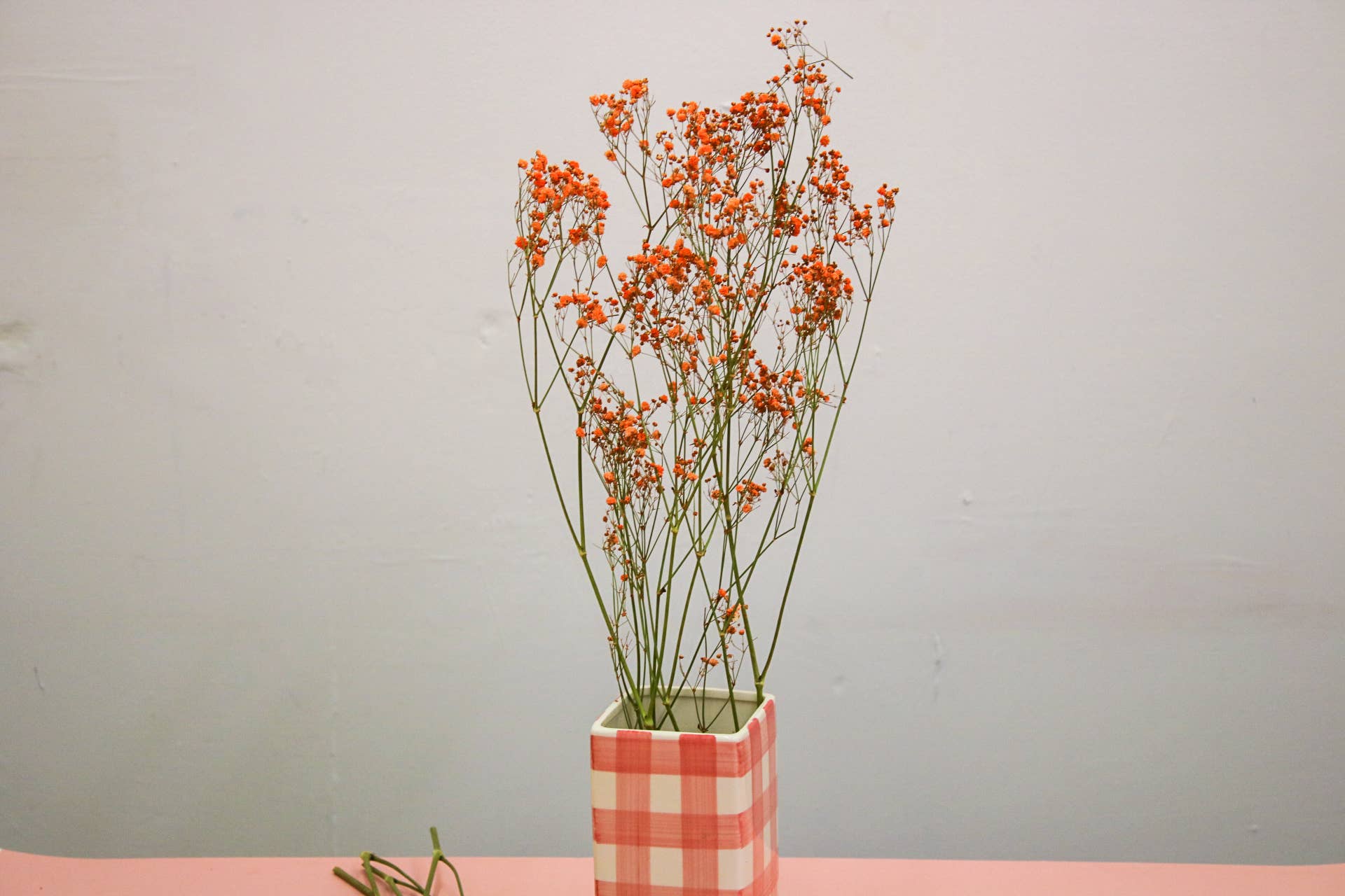 Wildestdreams.flowers – Flores secas/prensadas por atacado – Gipsofila Laranja Seca Pequenas Flores Secas5