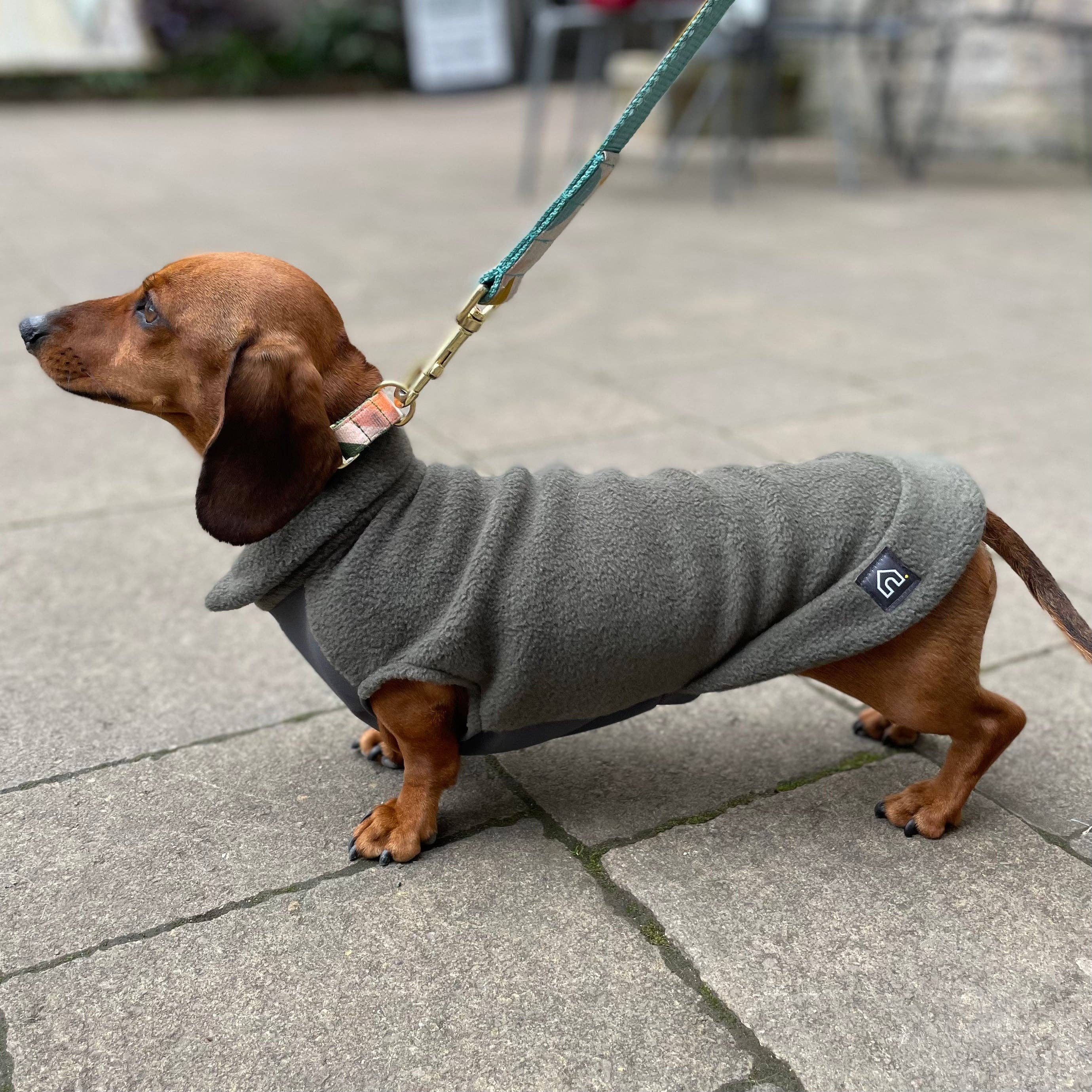 Doghouse – Engroshandel Sweater - Hund – Dachshund fleecetrøje med vandtæt mavepanel2