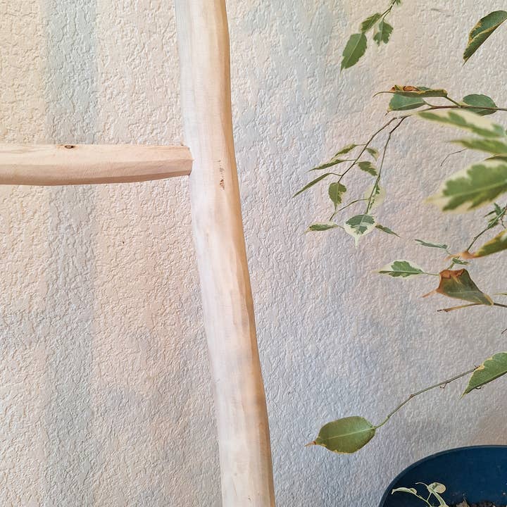 LeBazare - Wholesale Free Standing Shelf - Decorative wooden ladder5