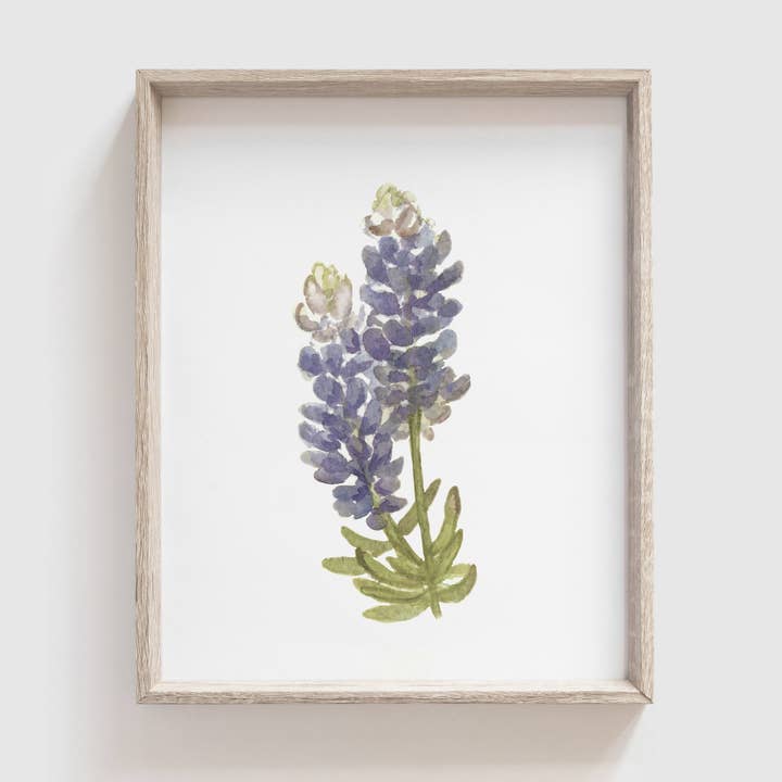 Bluebonnet Art Print for wholesale by Tabitha Paige